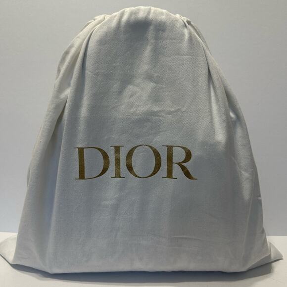 Christian Lady Dior NWT New Fabric Latte Embroidery Off-White Bag - Picture 15 of 16
